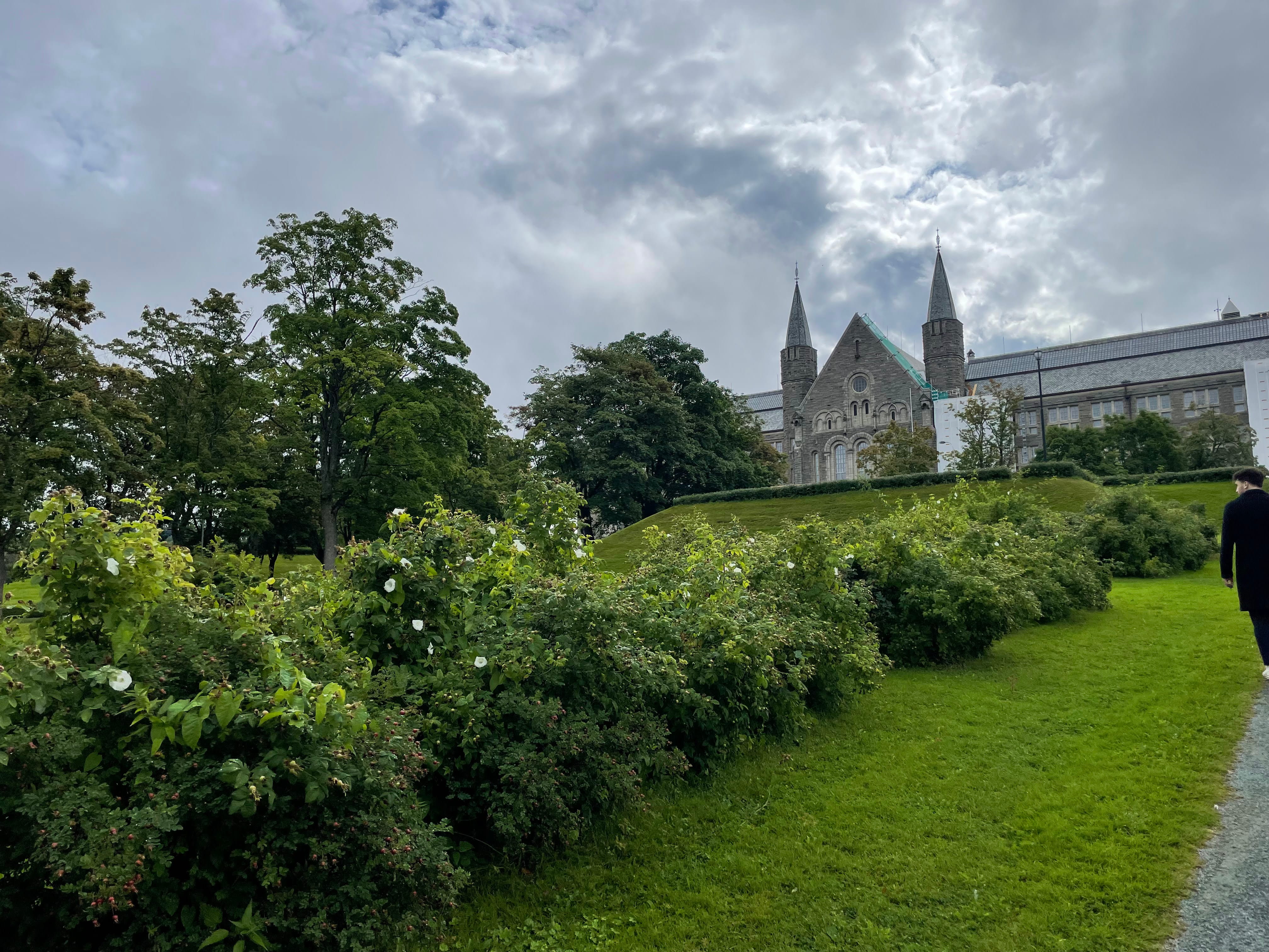 NJORD Challenge marina or waterfront
